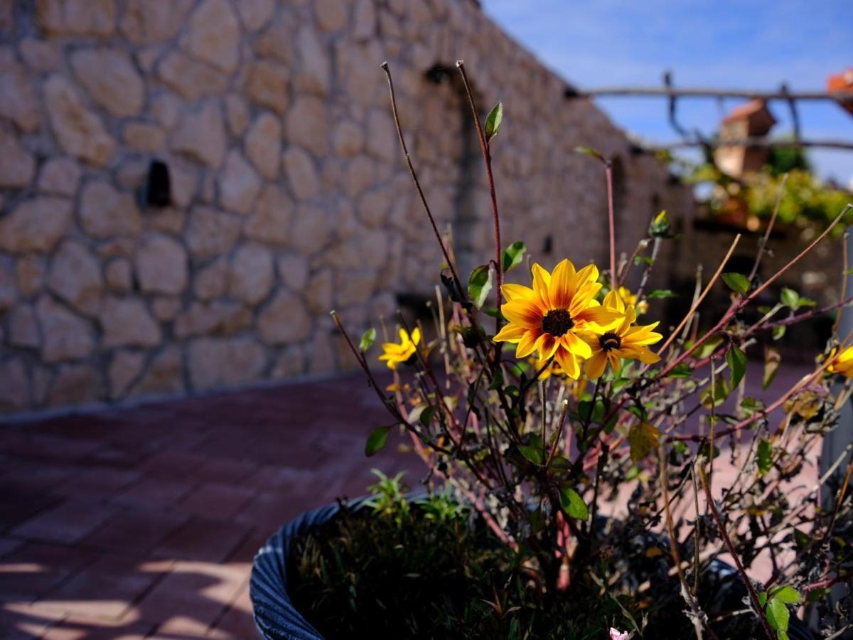 Secret Wellness Apartment Bodonci Bagian luar foto